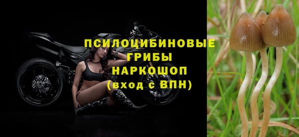 jwh Белокуриха